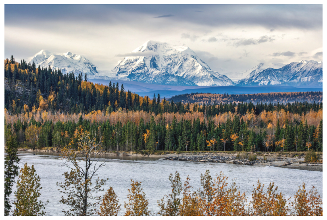 Main image The Color of Darkness