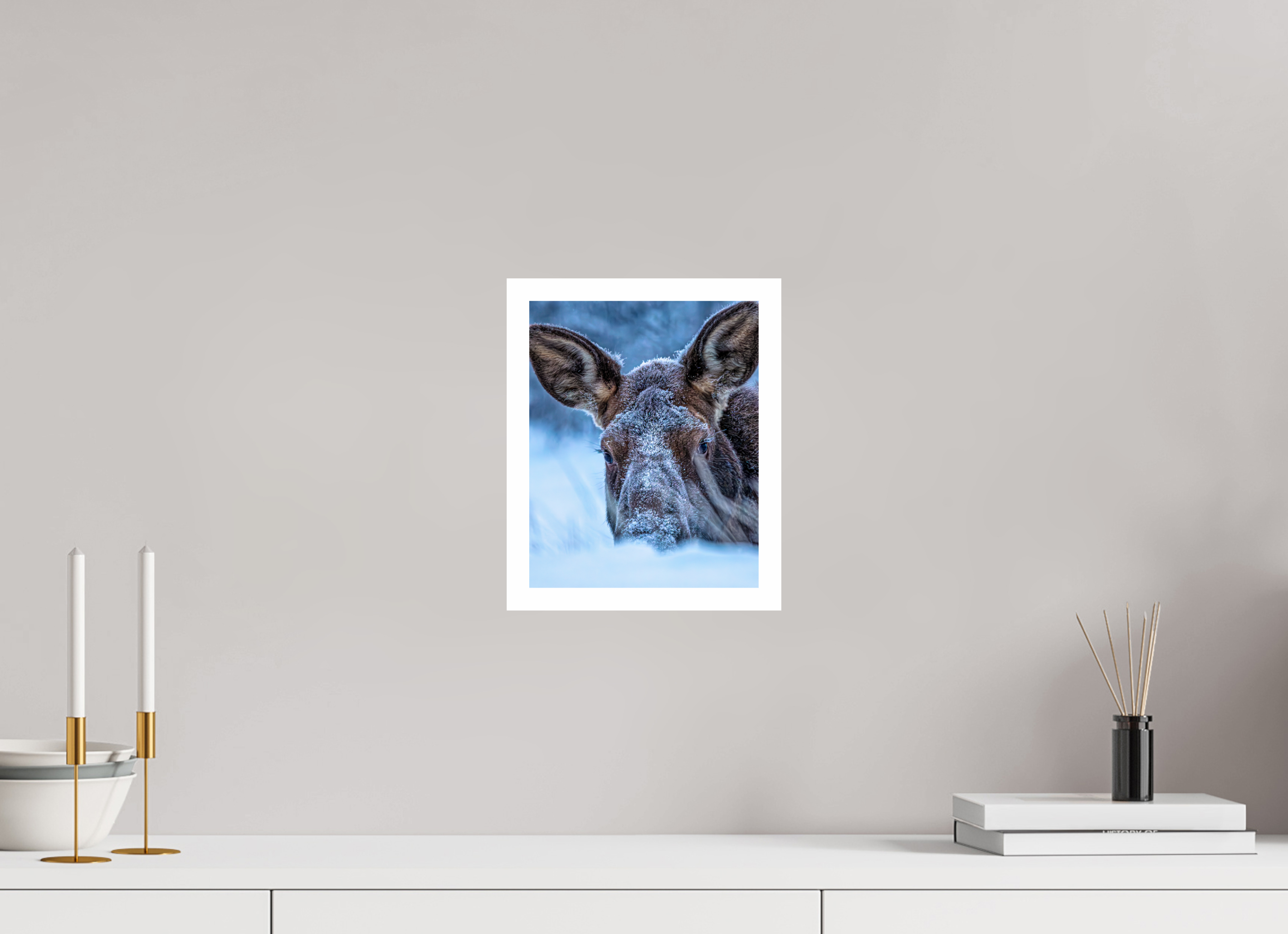 8 x 10″, Metallic Paper w_border Moose Peek-A-Boo