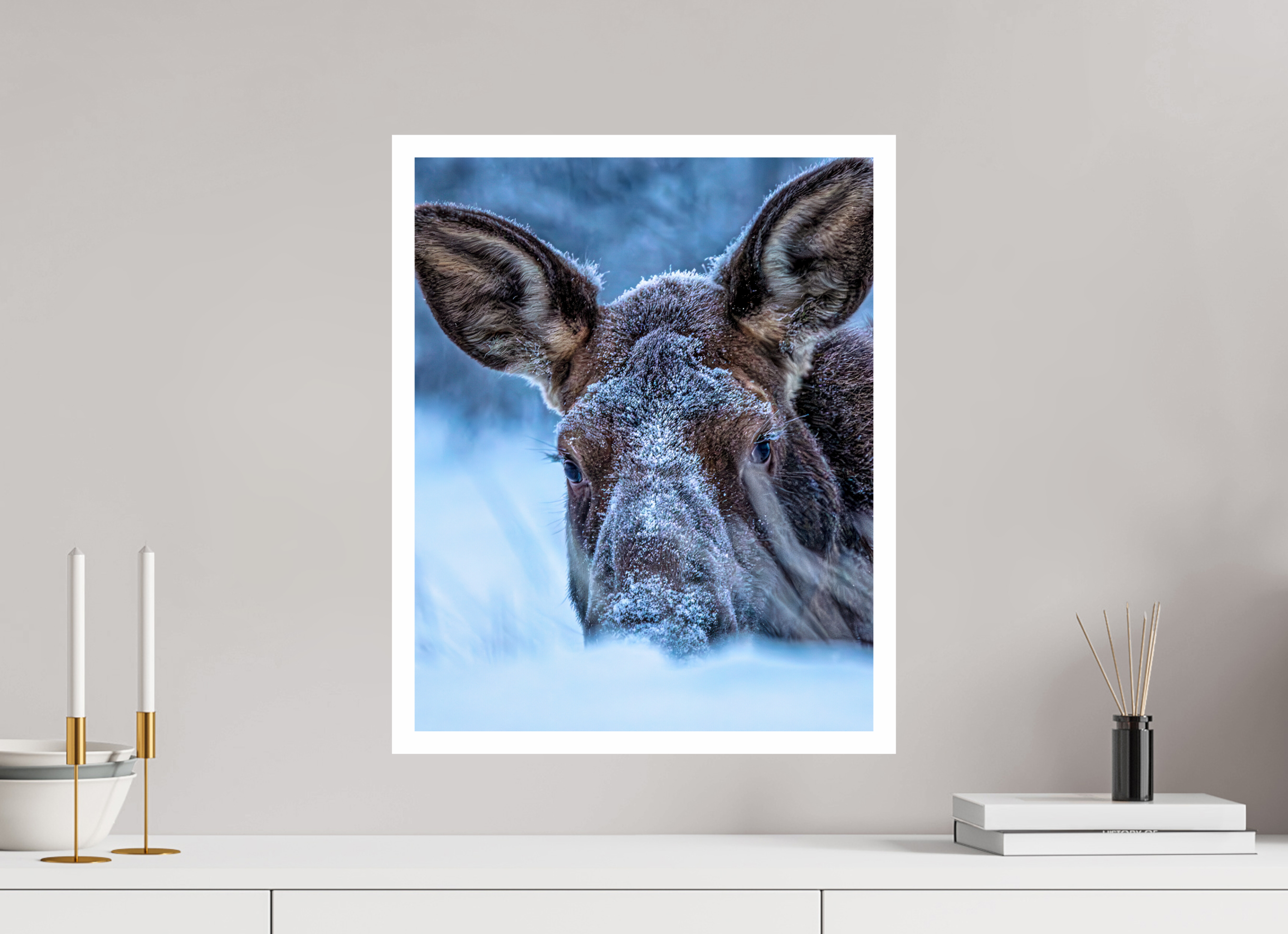 16 x 20″, Metallic Paper w_border Moose Peek-A-Boo