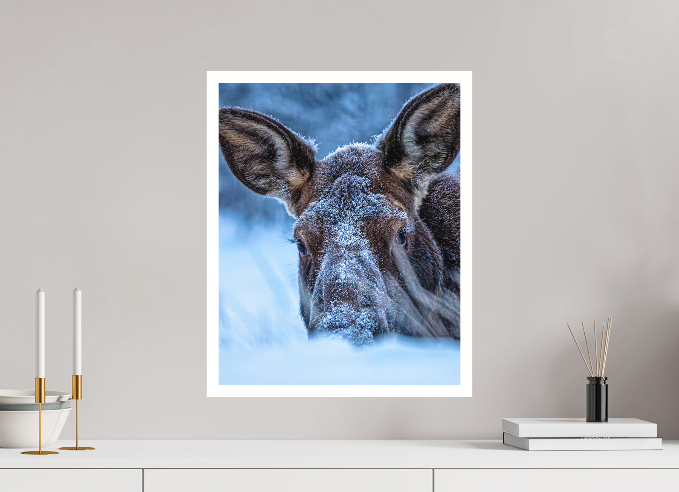 16 x 20″, Matte1 w_border Moose Peek-A-Boo